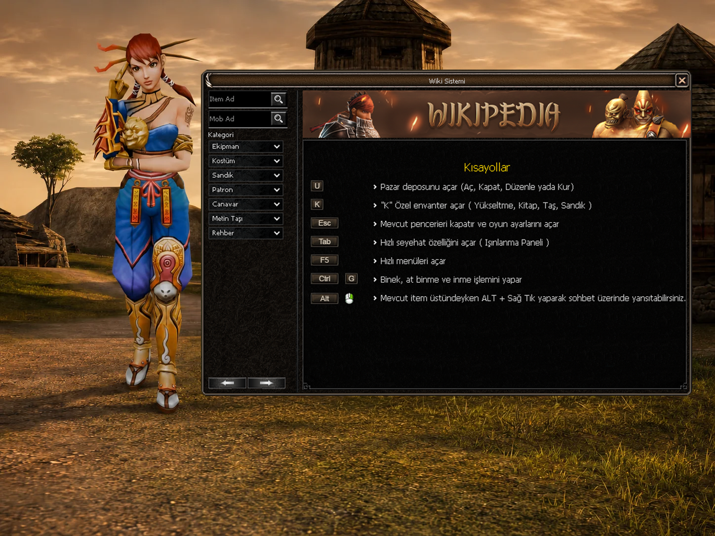 Wiki In-Game